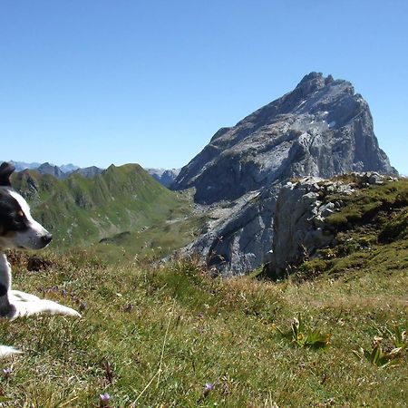 Sonnenhaus Sander Schruns ภายนอก รูปภาพ