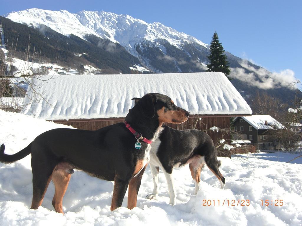 Sonnenhaus Sander Schruns ภายนอก รูปภาพ