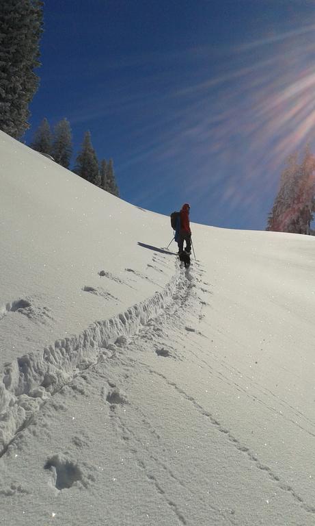 Sonnenhaus Sander Schruns ภายนอก รูปภาพ