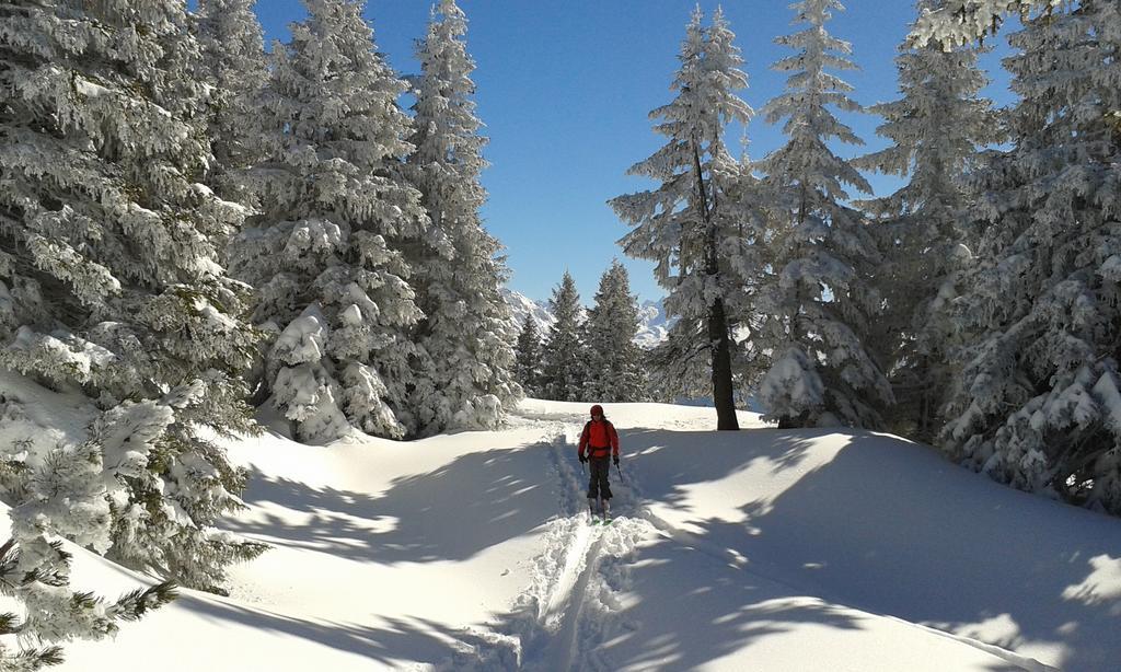 Sonnenhaus Sander Schruns ภายนอก รูปภาพ