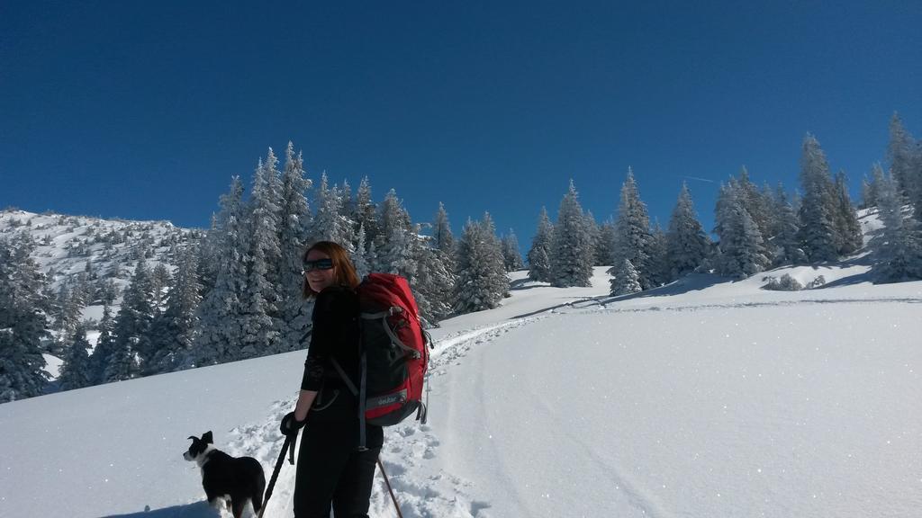 Sonnenhaus Sander Schruns ภายนอก รูปภาพ